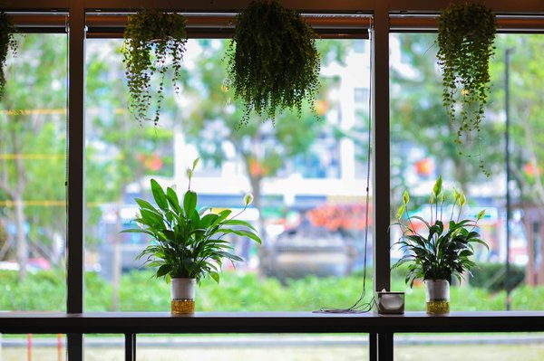 Les Enjeux et Singularités des Contrats de Travail à l'International